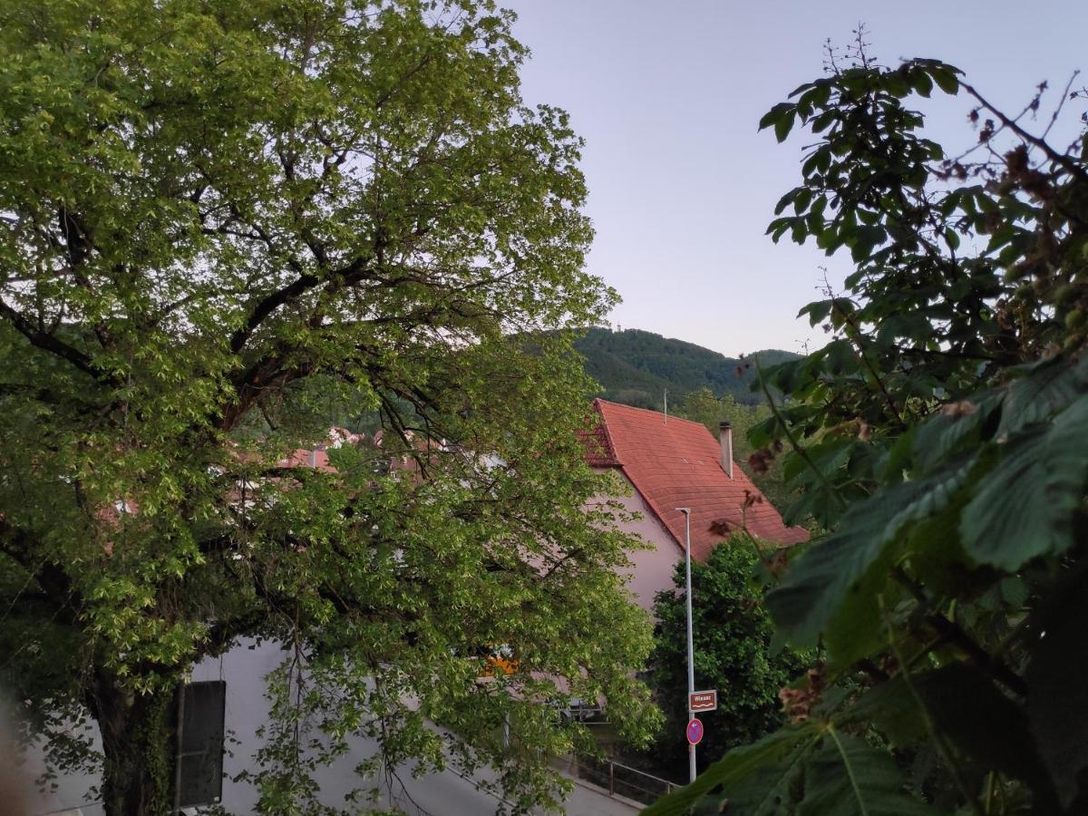 Ferienwohnungen Und Zimmer In Reutlingen-Goenningen Buitenkant foto